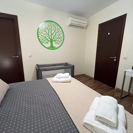 Apartamento El Mirador De La Farga Arbúcies Extérieur photo