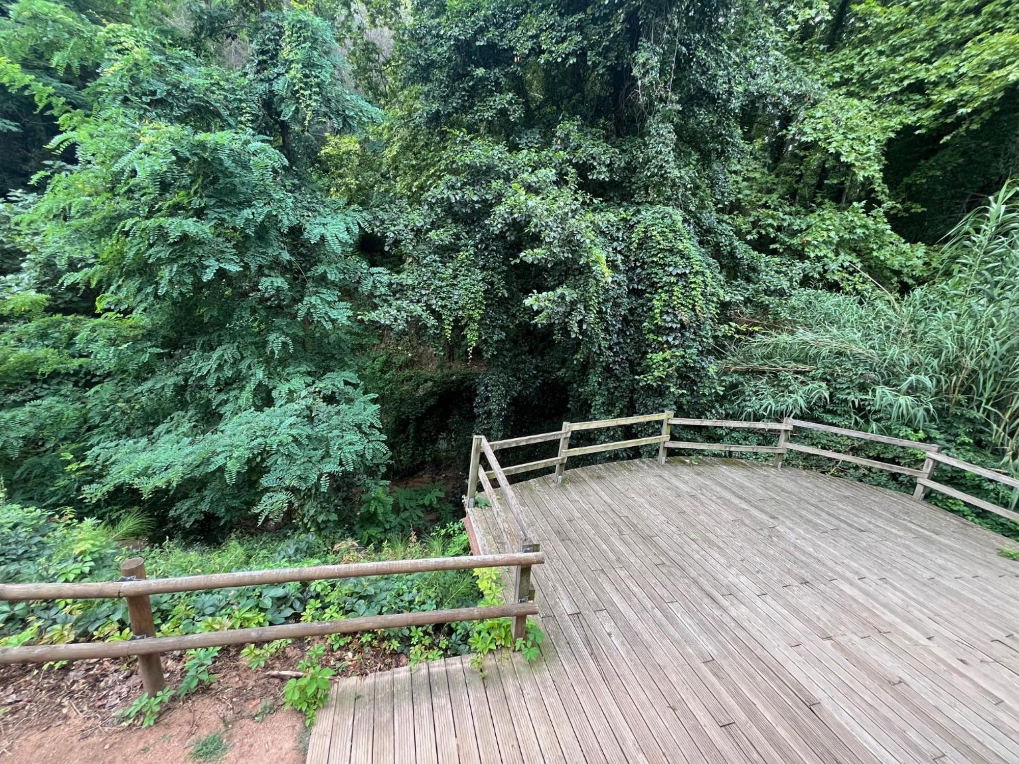 Apartamento El Mirador De La Farga Arbúcies Extérieur photo