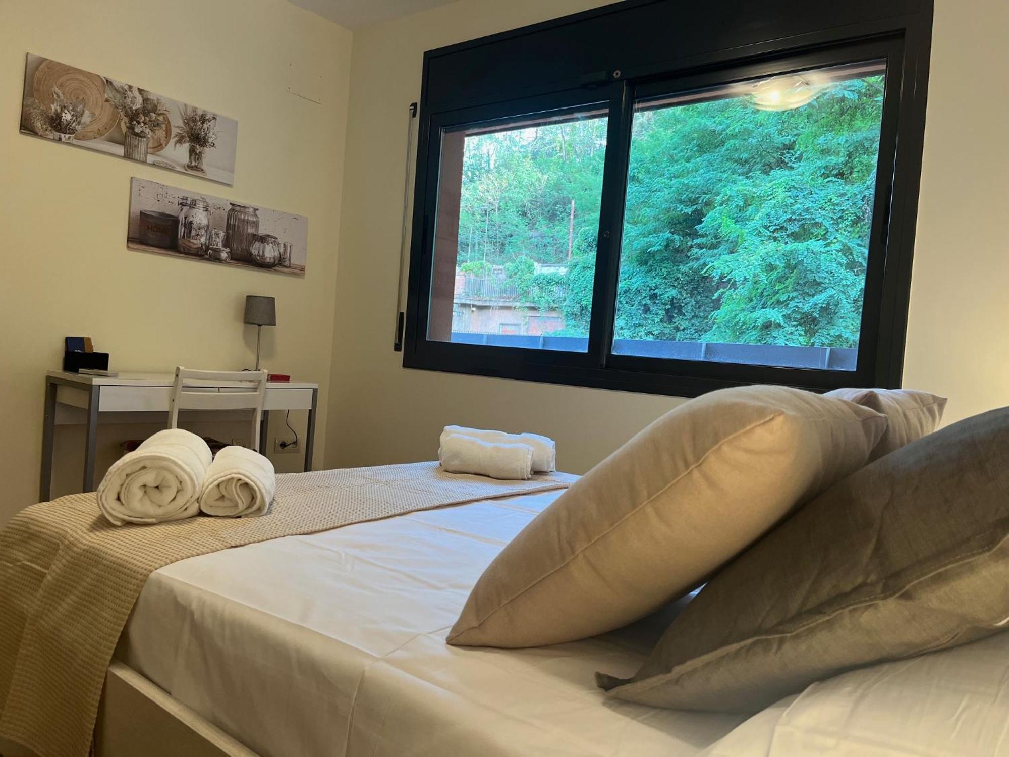 Apartamento El Mirador De La Farga Arbúcies Extérieur photo